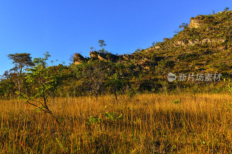 Sunset on the cerrado vegetation near the Serra Morena waterfall, on the outskirts of the Serra do Cipó National Park, Minas Gerais state, Brazil